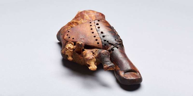 A wooden toe: Swiss Egyptologists study 3000-year-old prosthesis