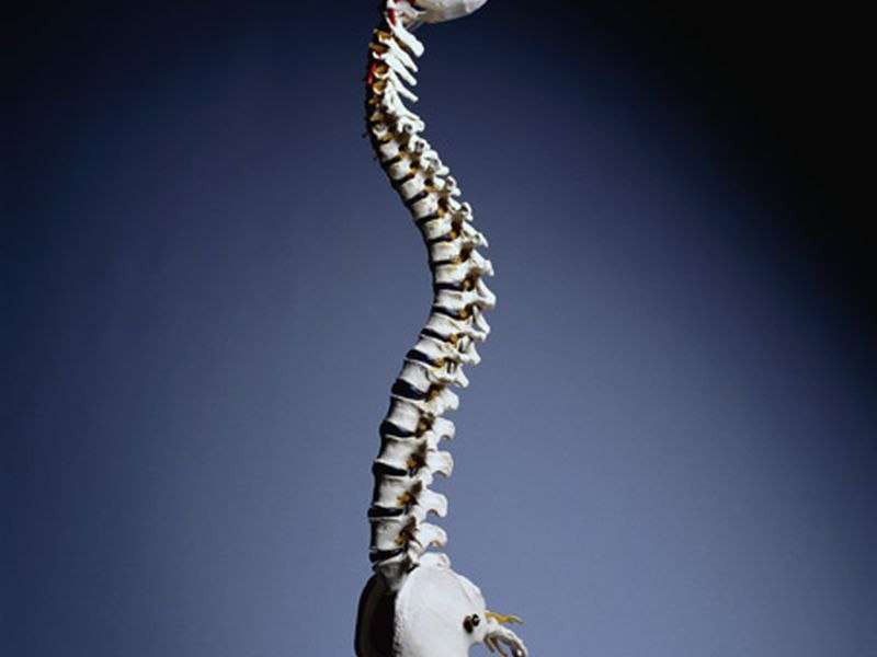 老年男性的背部疼痛与椎体骨折有关
