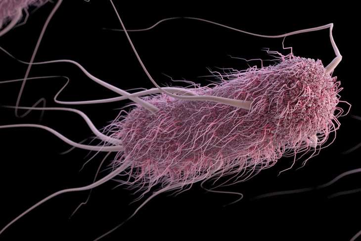 Bacteria change a liquid’s properties and escape entrapment
