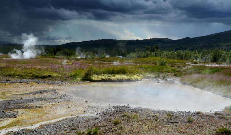 Bacteria from hot springs solve mystery of metabolism