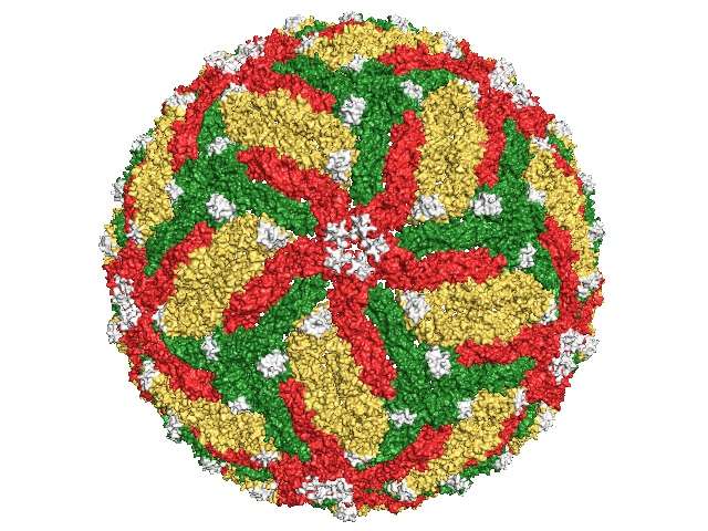 Battling infectious diseases with 3-D structures
