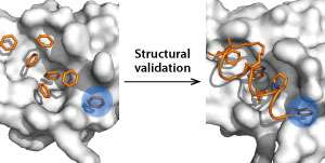 Benzene-based probes highlight two hidden binding sites on an anticancer drug target