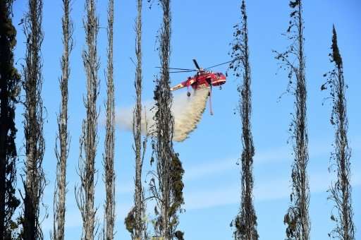 Beyond a wall of burned Cypress trees, a helicopter drops water over farms and homes in Bonsall, California