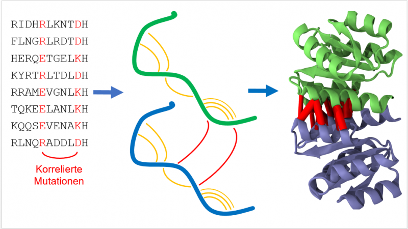 Big data approach to predict protein structure
