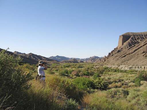 'BioBlitz' scientists to survey California desert valley