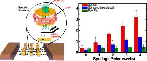 Bioelectronic 'nose' can detect food spoilage by sensing the smell of death