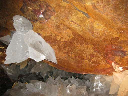 Biologists find weird cave life that may be 50,000 years old