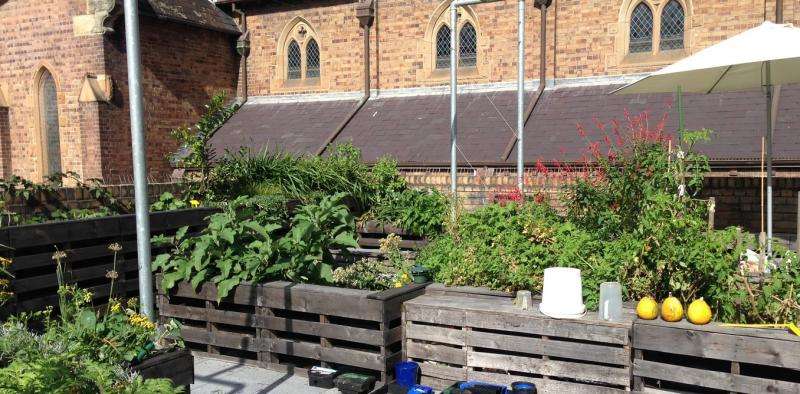 Biophilic urbanism—how rooftop gardening soothes souls