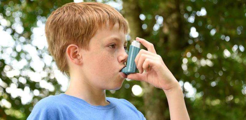 Bitter taste receptors hold key to treating asthma