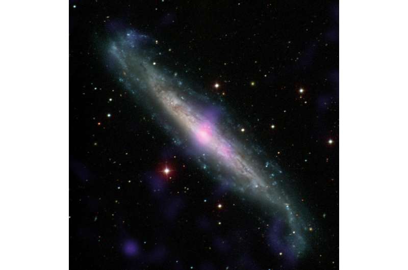 Black Holes Hide in Our Cosmic Backyard