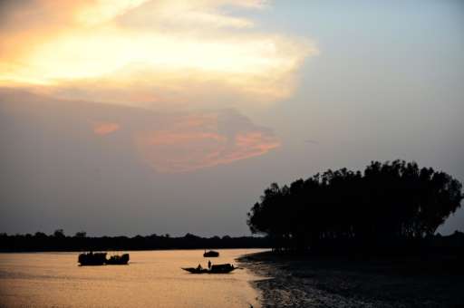 Boats are seen at sunset in the Sunderbans in Khulna, some 350 kms southwest of Dhaka. The UN has warned that a coal power plant