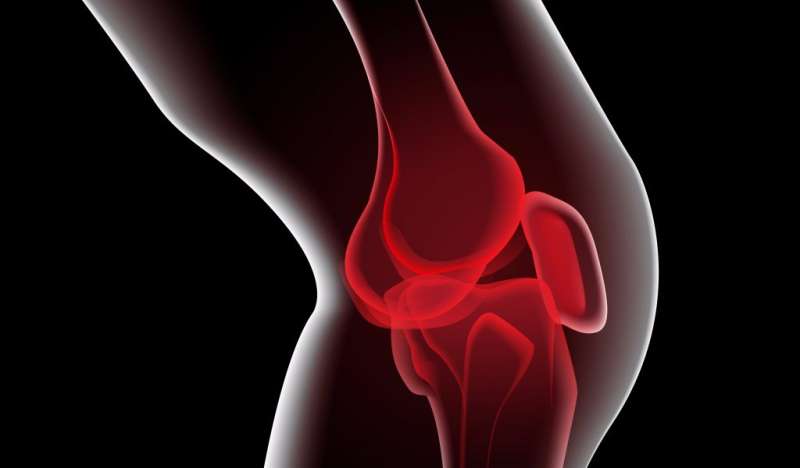 Bone marrow concentrate improves joint transplants