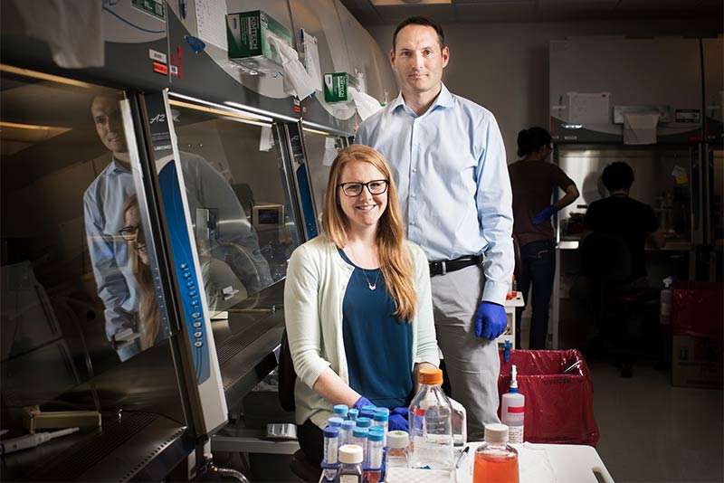 Boston University scientists turn human induced pluripotent stem cells into lung cells
