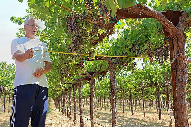 Bringing space technology to water needs in California vineyards