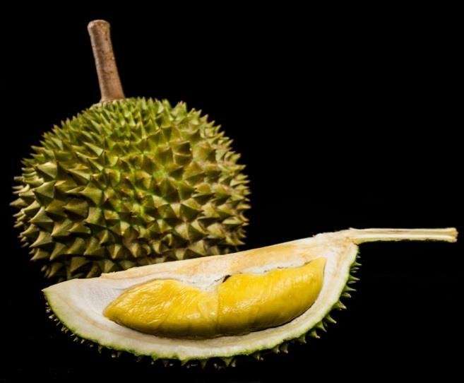 Cancer scientists crack the durian genome