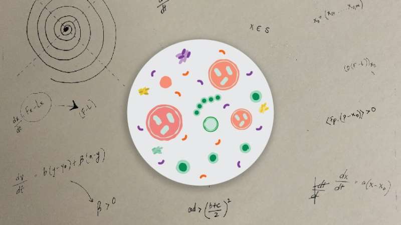 Can math help explain our bodies -- and our diseases?