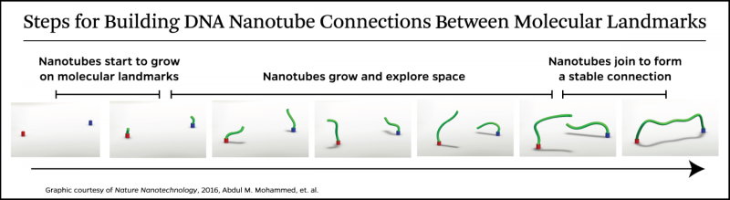 Captured on video: DNA nanotubes build a bridge between 2 molecular posts