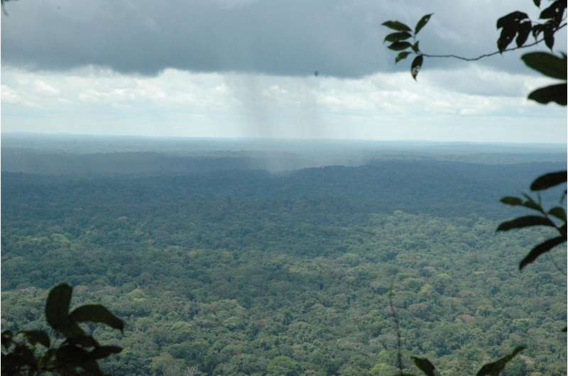 Carbon-based approaches for saving rainforests should include biodiversity studies