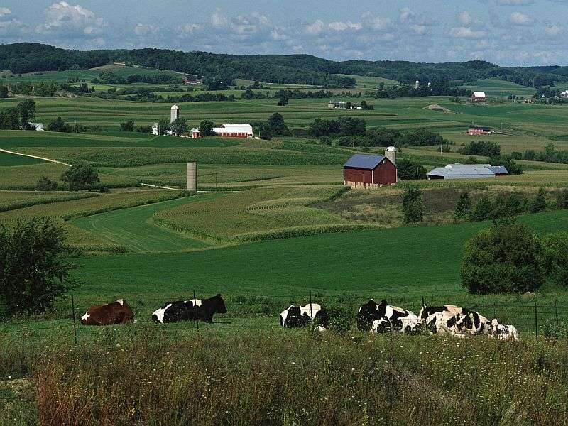 CDC: higher risk of death from leading causes in rural america