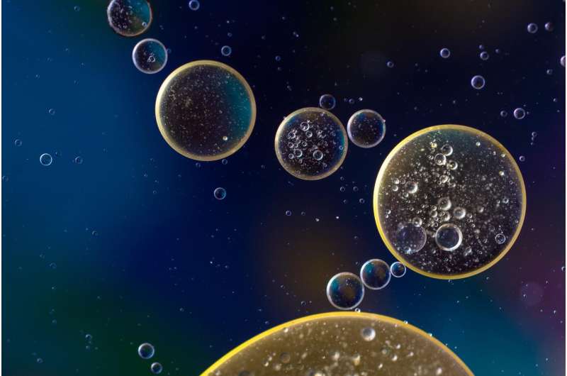 Key stem cell dormancy mechanism discovered thumbnail