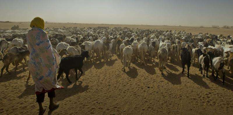 Chad is the country most vulnerable to climate change – here's why