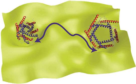 Chemist develops new theory for explaining the function of proteins