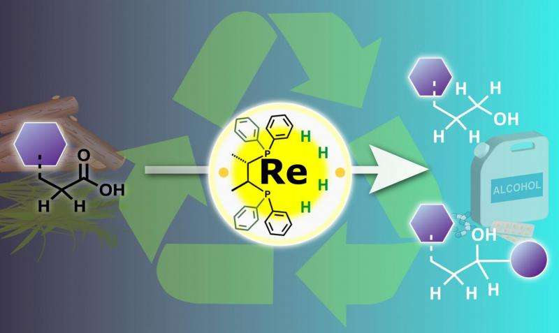 Chemists turn metal catalysis on its head for a sustainable future