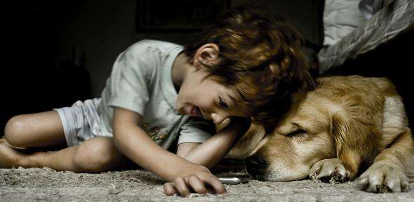 Children get more satisfaction from relationships with their pets than with siblings