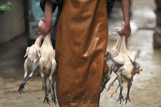 China closes live poultry markets amid deadly flu outbreak