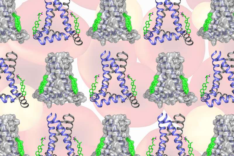 Cholesterol helps flu virus escape through host cell's membrane