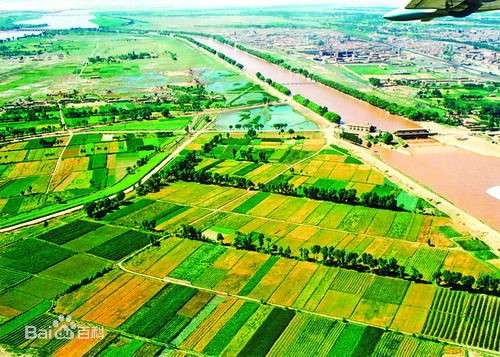 Climatic effect of irrigation over the Yellow River basin
