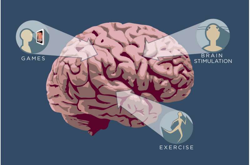 Cognitive cross-training enhances learning, study finds