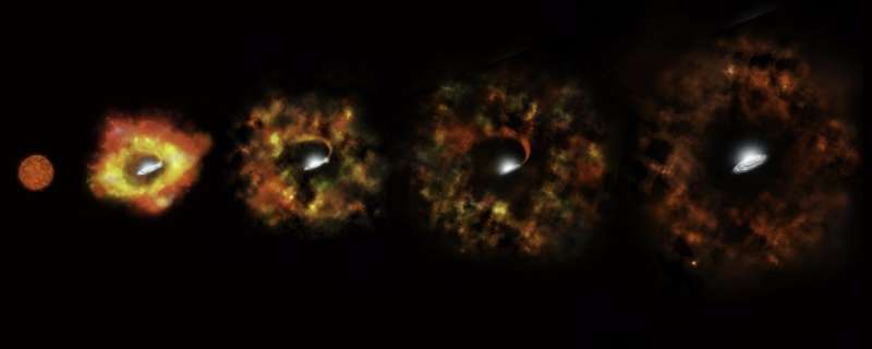 Collapsing star gives birth to a black hole