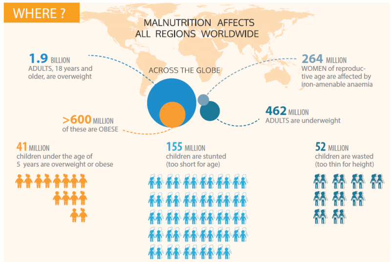 Common drivers and solutions to undernutrition and obesity