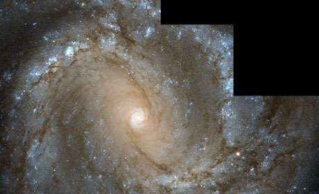 Complex gas motion in the center of the Milky Way