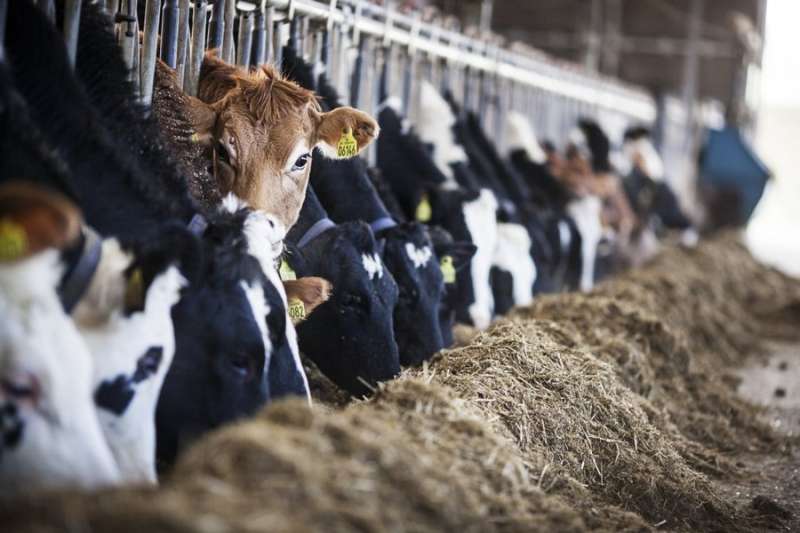 Concentrating milk at the farm does not harm milk quality