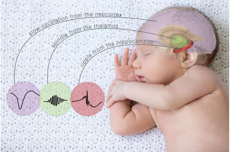 Controlling memory by triggering specific brain waves during sleep