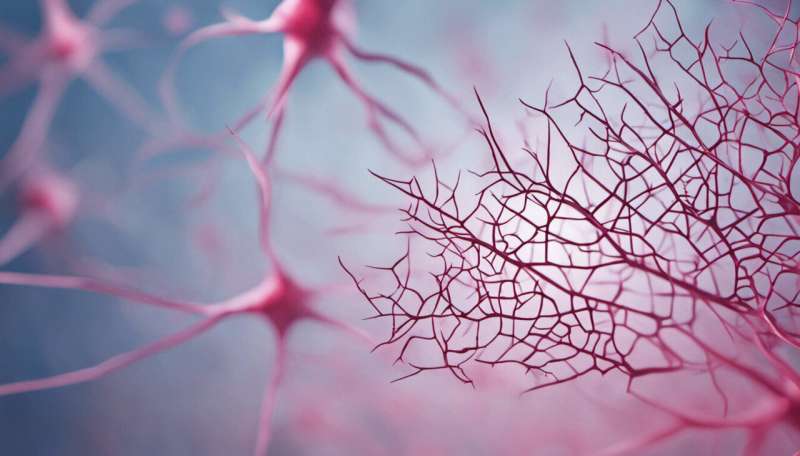 Conversion of brain cells offers hope for Parkinson’s patients