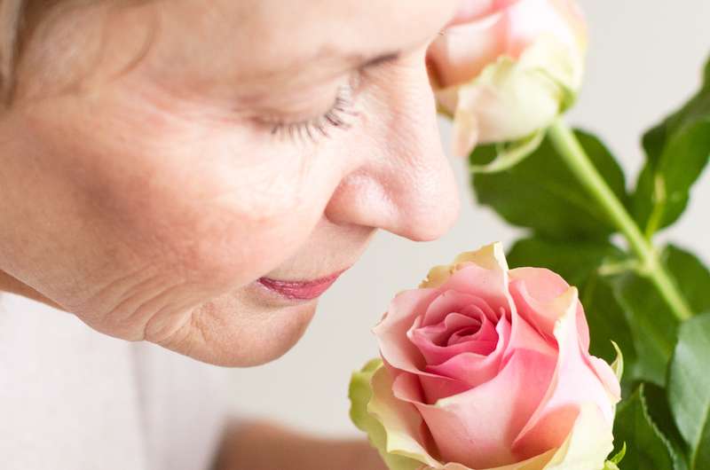 Could olfactory loss point to Alzheimer’s disease?