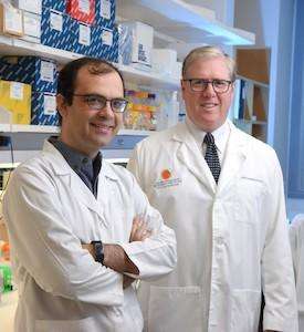 CRI scientists discover vitamin C regulates stem cell function, curbs leukemia development
