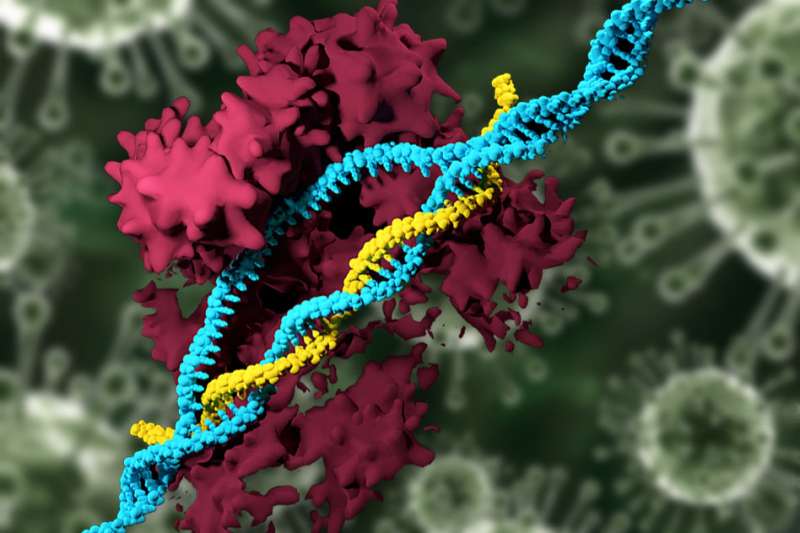 CRISPR-carrying nanoparticles edit the genome