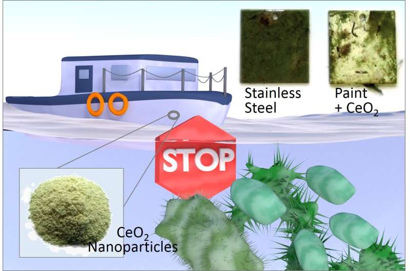 Defense mechanism employed by algae can effectively inhibit marine fouling