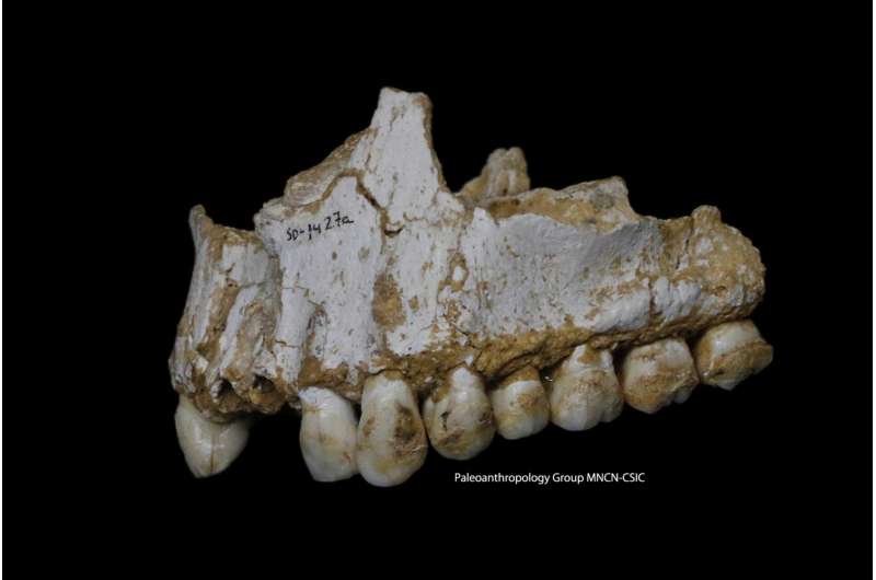 Dental plaque DNA shows Neandertals used 'aspirin'