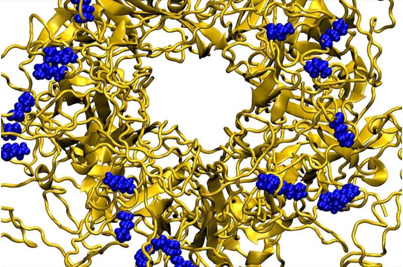 Designer nanoparticles destroy a broad array of viruses