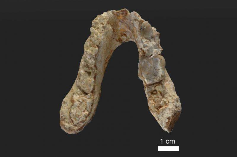 Did humans evolve in Europe rather than Africa? We don't have the answer just yet