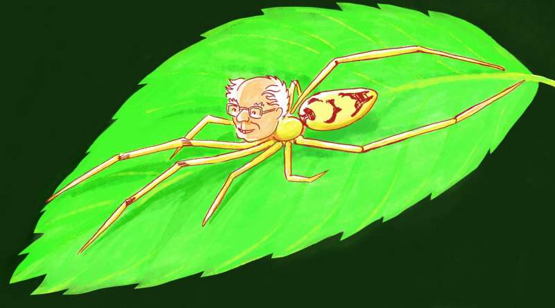 Discovery: Bernie Sanders spider