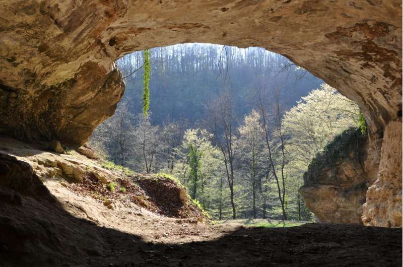 DNA from extinct humans discovered in cave sediments