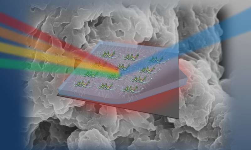 DNA: The next hot material in photonics?