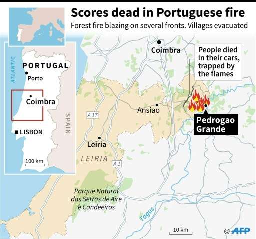 Dozens dead in Portugal forest fires