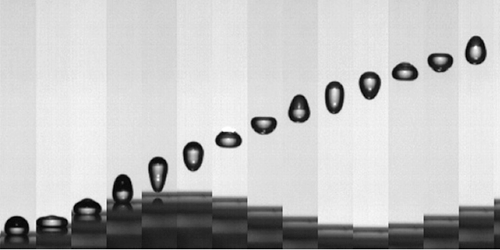 Drops of water found to spring from oscillating surface faster than the surface moves